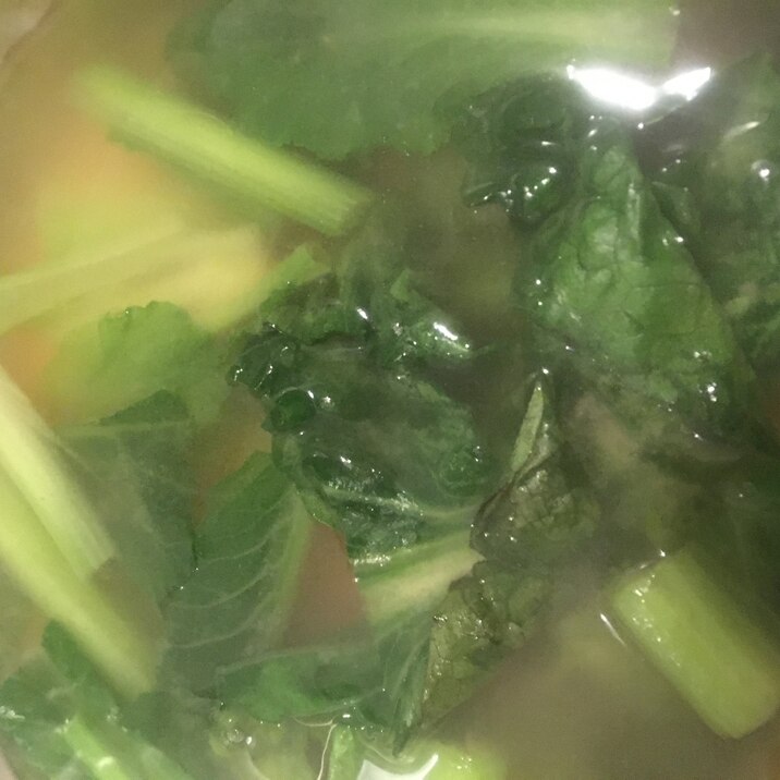 小松菜とロメインレタスの味噌汁